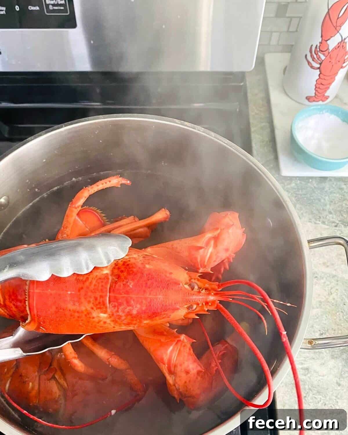 steamed lobster.