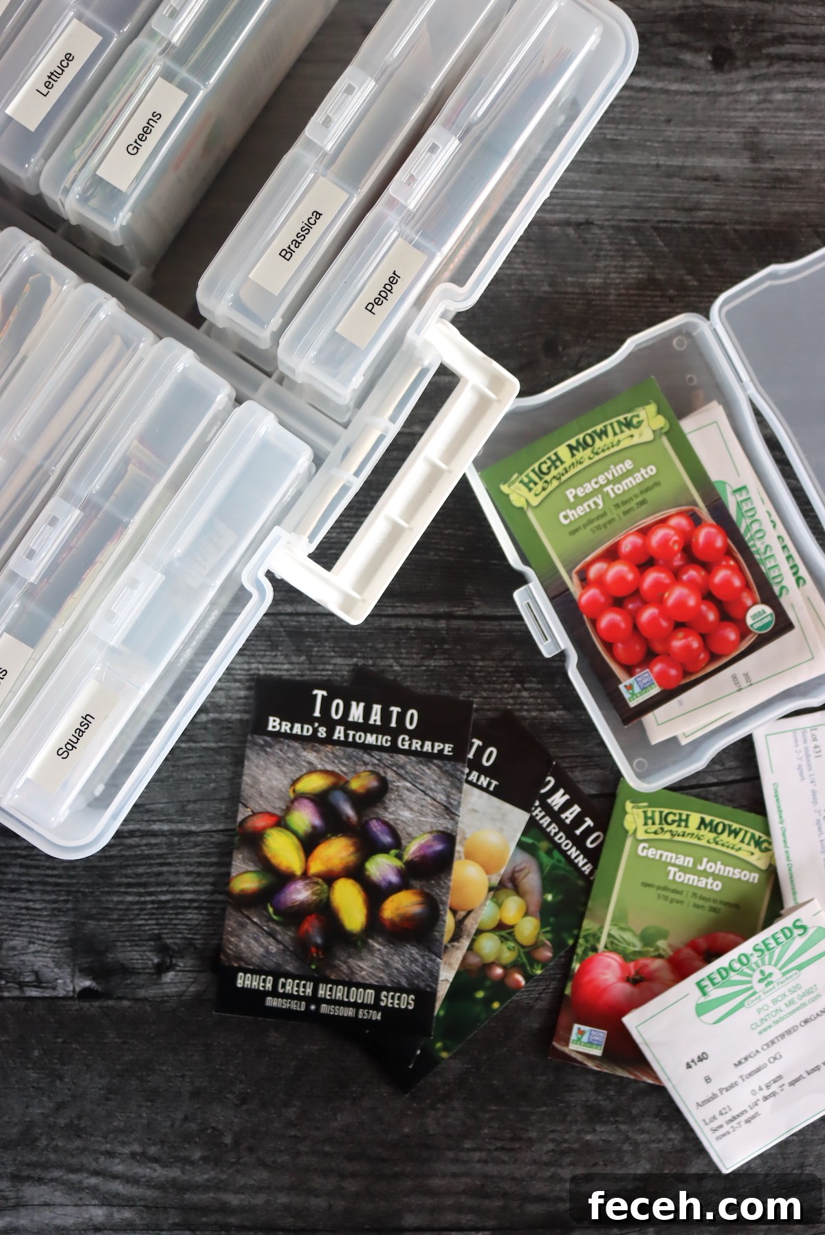 Seed Storage