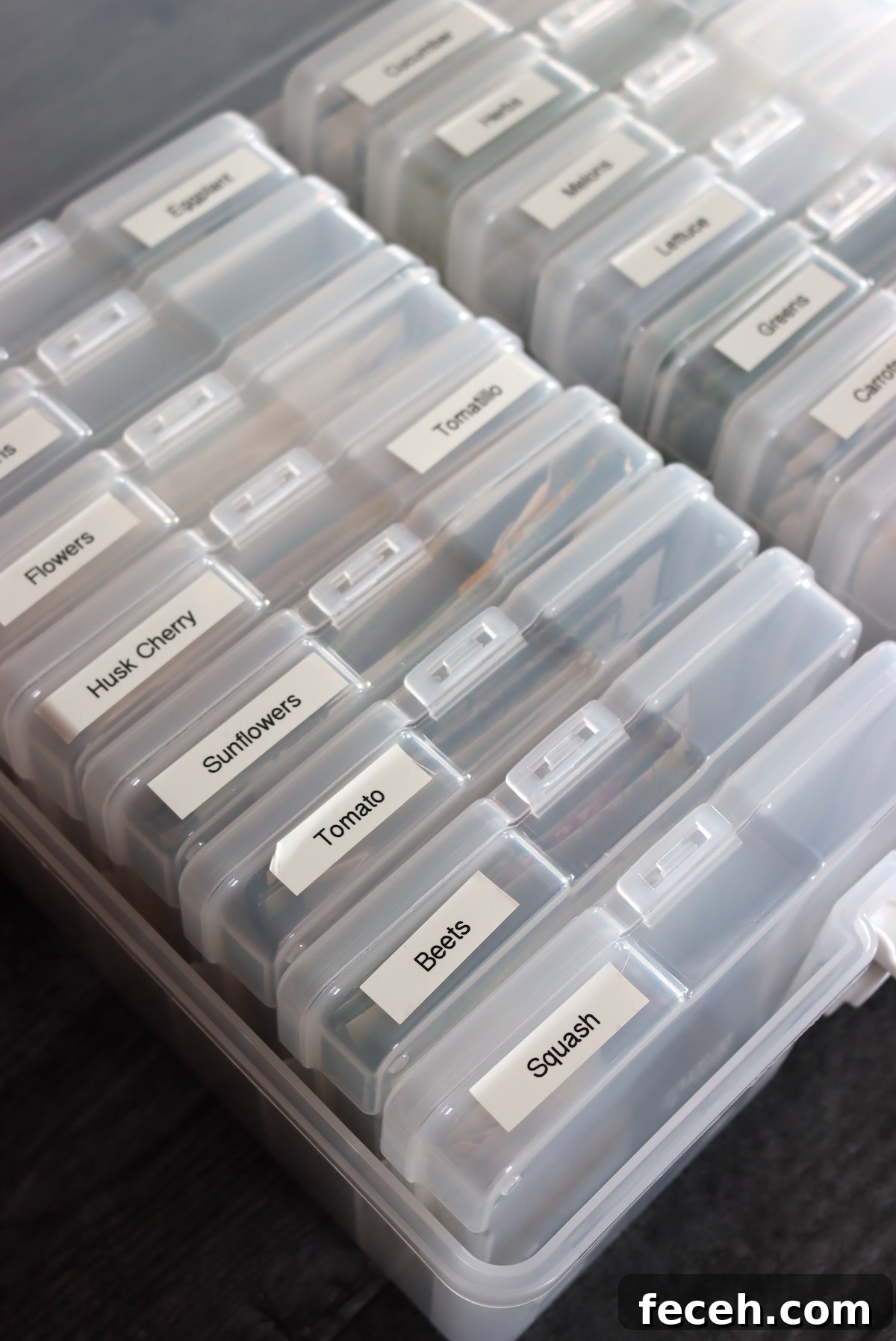 Seed Organizer