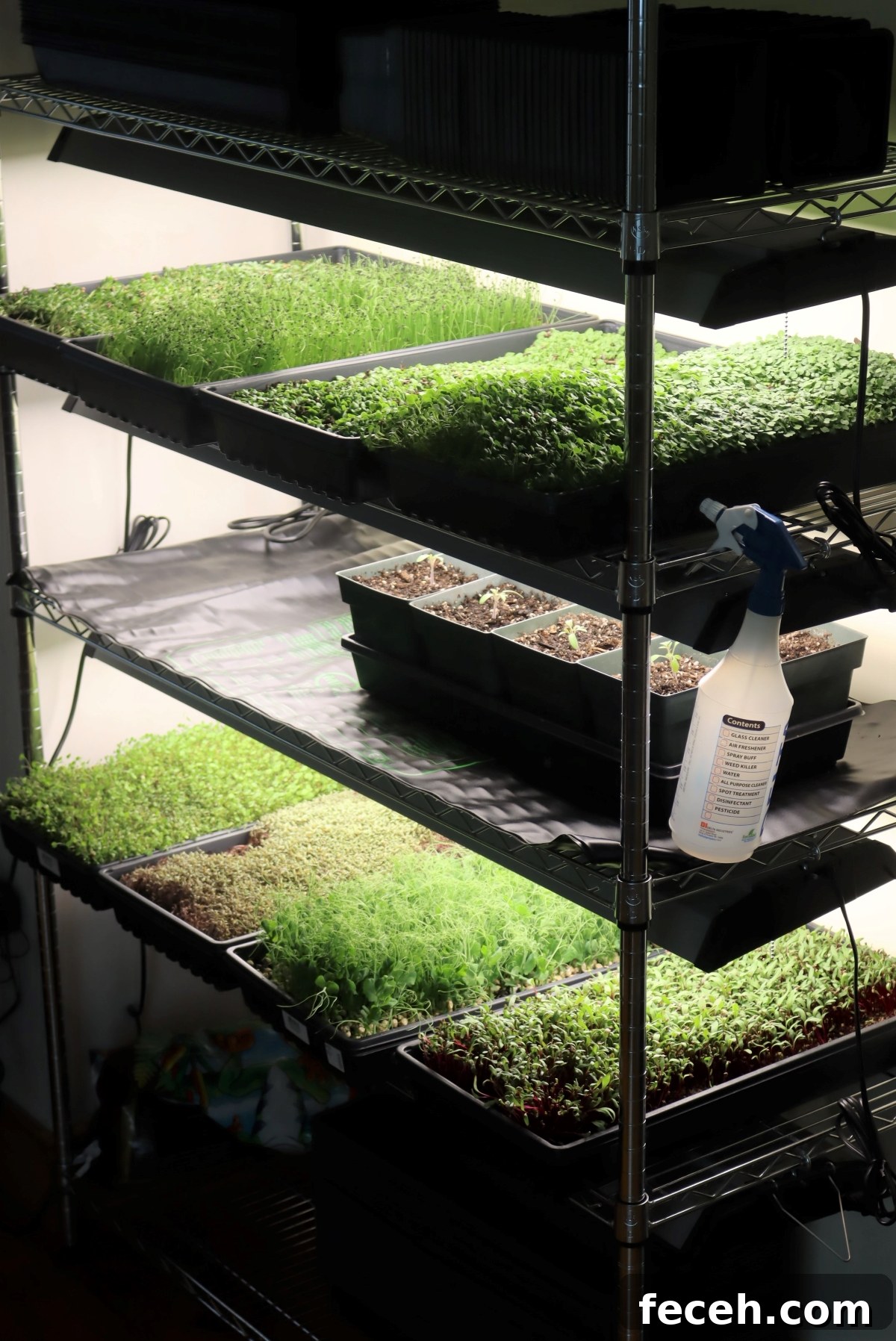 DIY Grow Lights or Seed Starting Lights