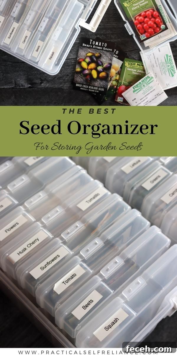 Best Seed Organizer for Storing Seed