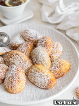 madeleines on a plate with a dusting of confectioners' sugar.