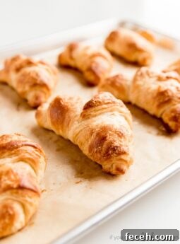 golden brown croissants on parchment lined baking sheet
