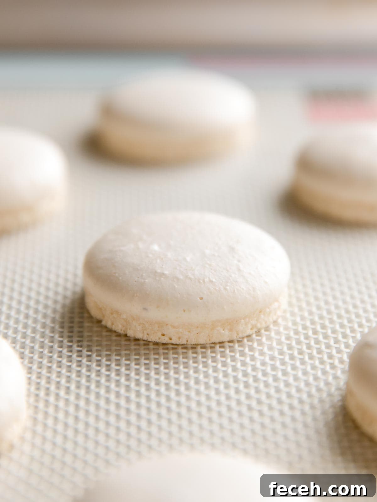 perfectly baked macaron with feet on silpat mat