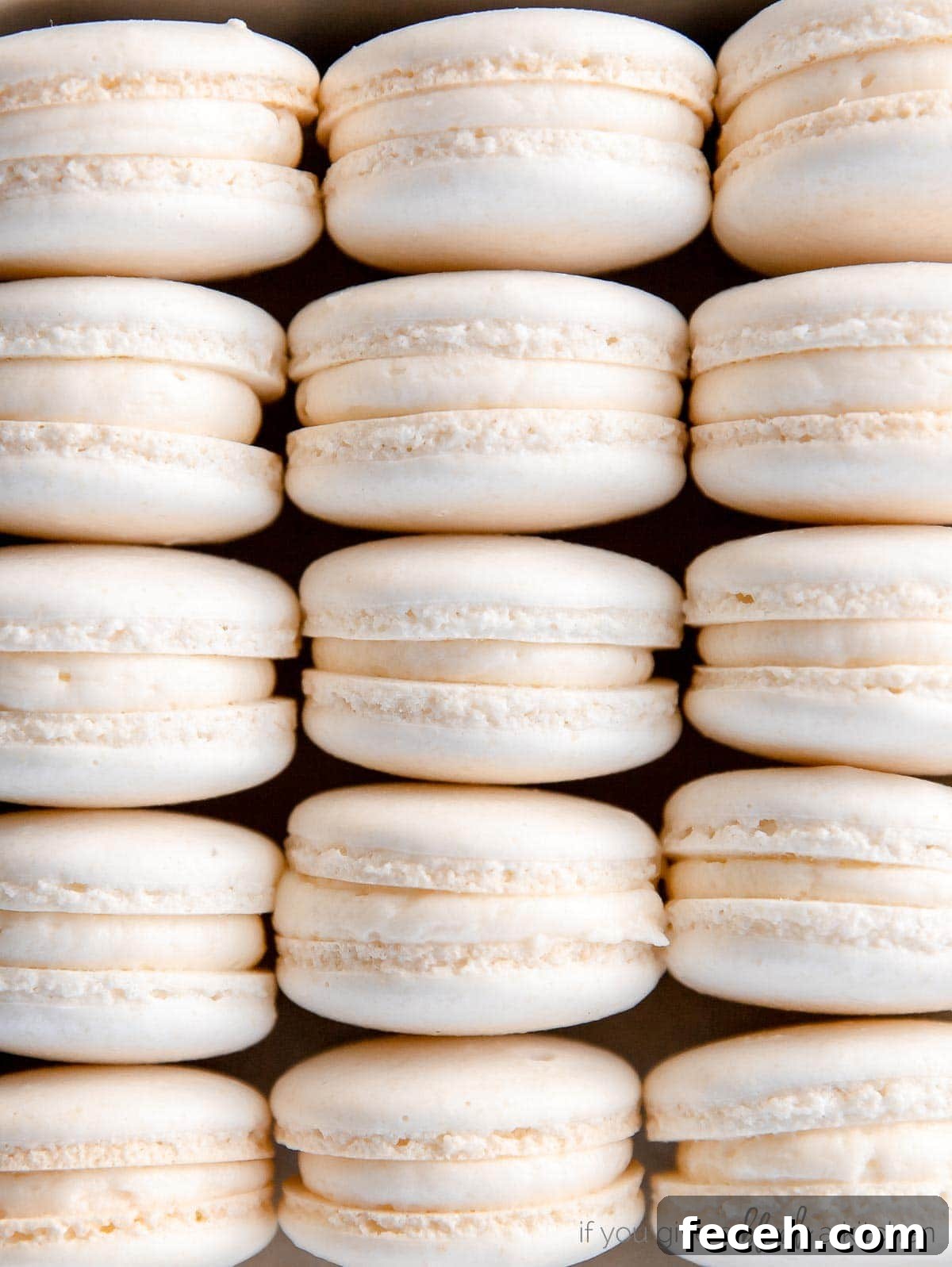 french macarons lined up on their side showing feet and buttercream filling