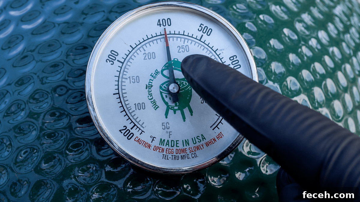 Thai Chili Ginger Tuna Burgers on the Big Green Egg 2 img 1978 7