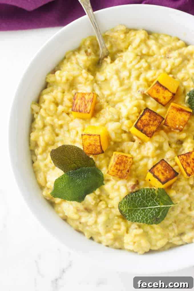 Butternut Squash Risotto