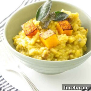 butternut squash risotto