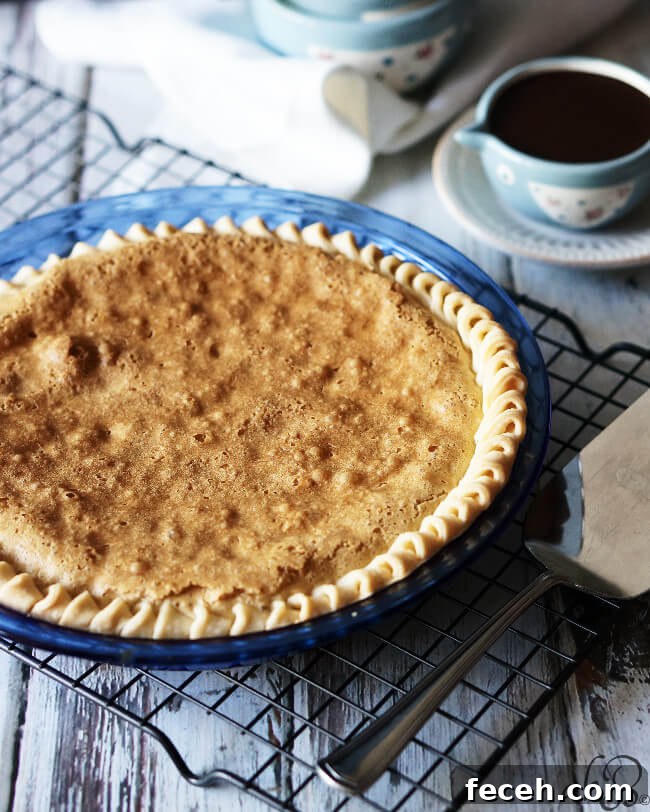 Ultimate Chocolate Chip Cookie Pie Recipe — Gooey, Crowd-Pleasing Dessert 4 Chocolate Chip Cookie Pie
