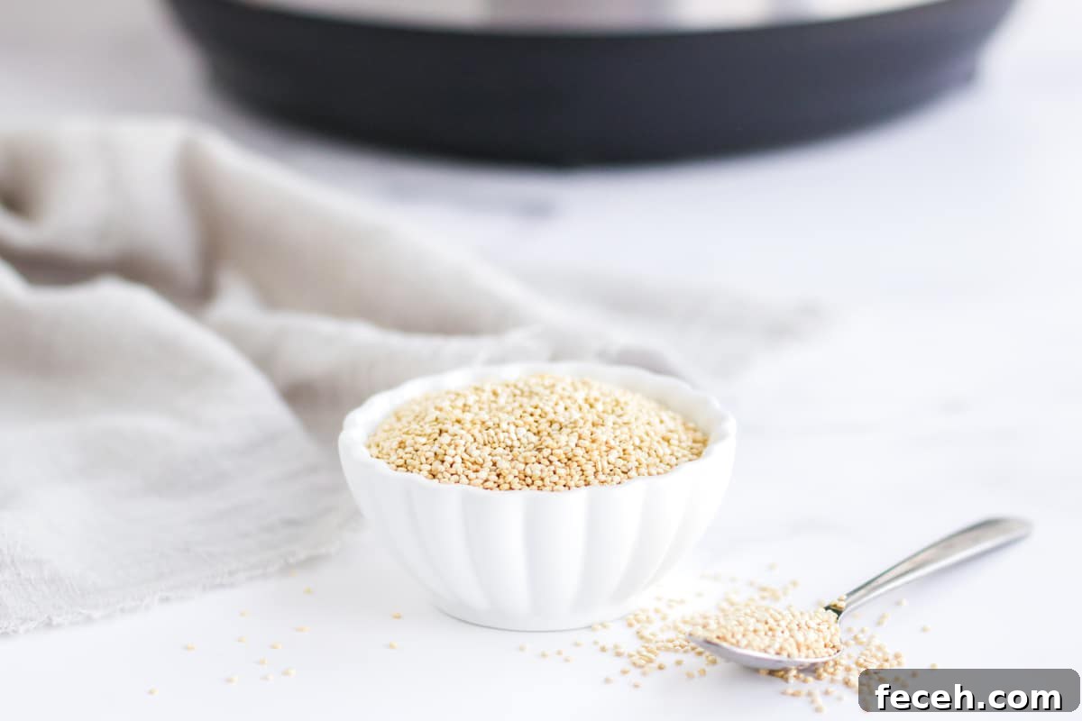 dry quinoa for instant pot quinoa