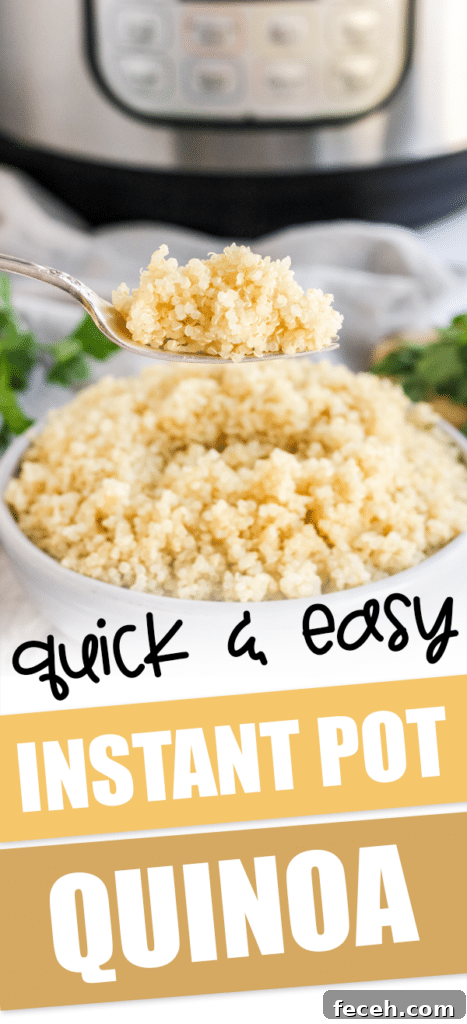 instant pot quinoa on a fork with text that reads quick & easy instant pot quinoa