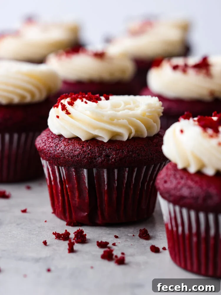 Red velvet cupcakes with cream cheese frosting. Hero image of red velvet cupcakes topped with cream cheese frosting.