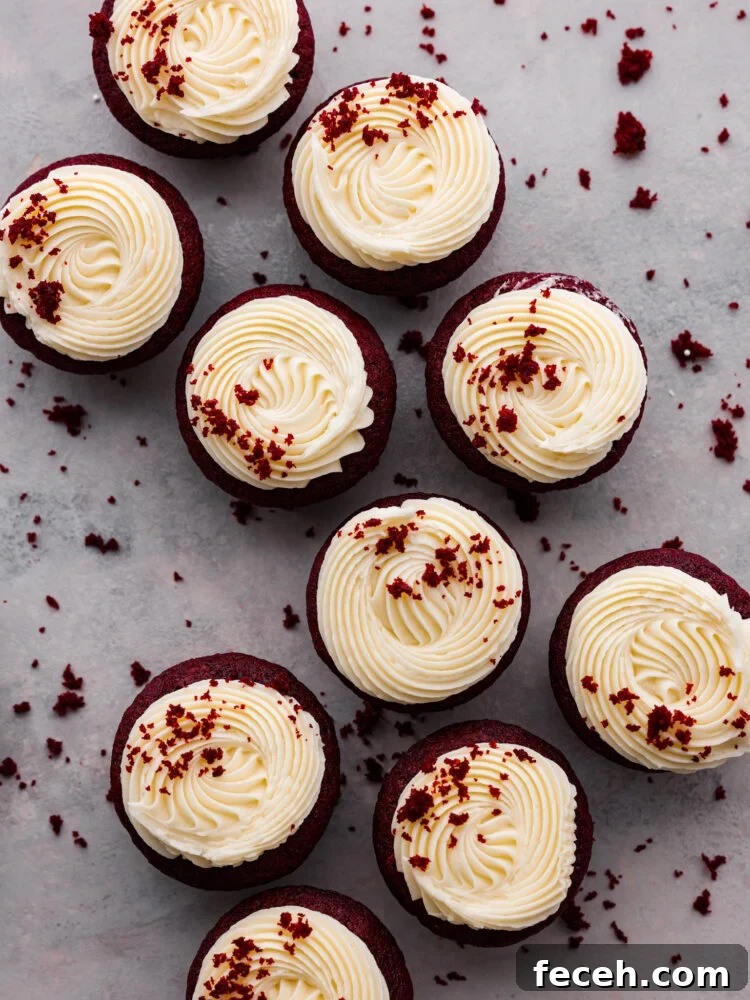 Top-down view of red velvet cupcakes. Top-down view of red velvet cupcakes.