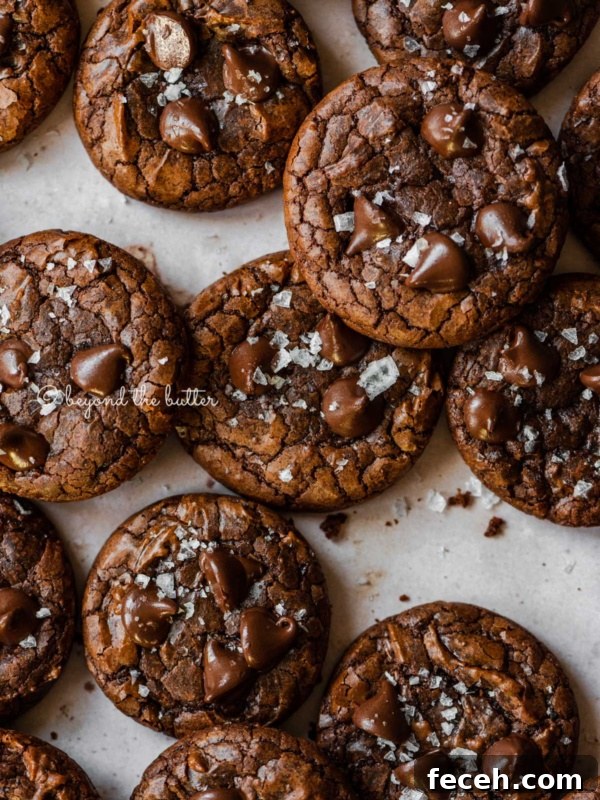 Homemade Baked Chocolate Donuts Recipe — Soft & Fudgy Treats 9 Salted brownie cookies on abstract light brown background.