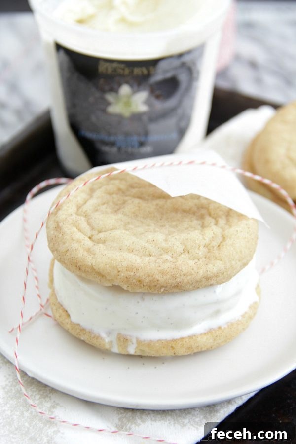 Vanilla Bean Ice Cream Sandwiches