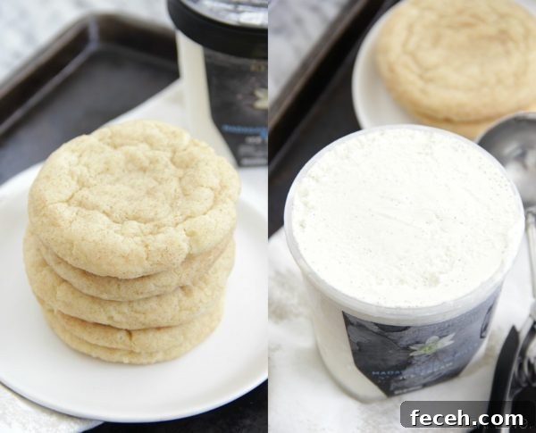 Vanilla Bean Ice Cream Sandwiches