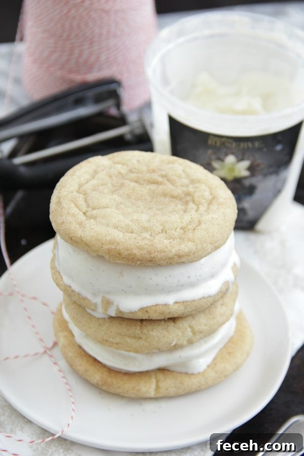Vanilla Bean Ice Cream Sandwiches