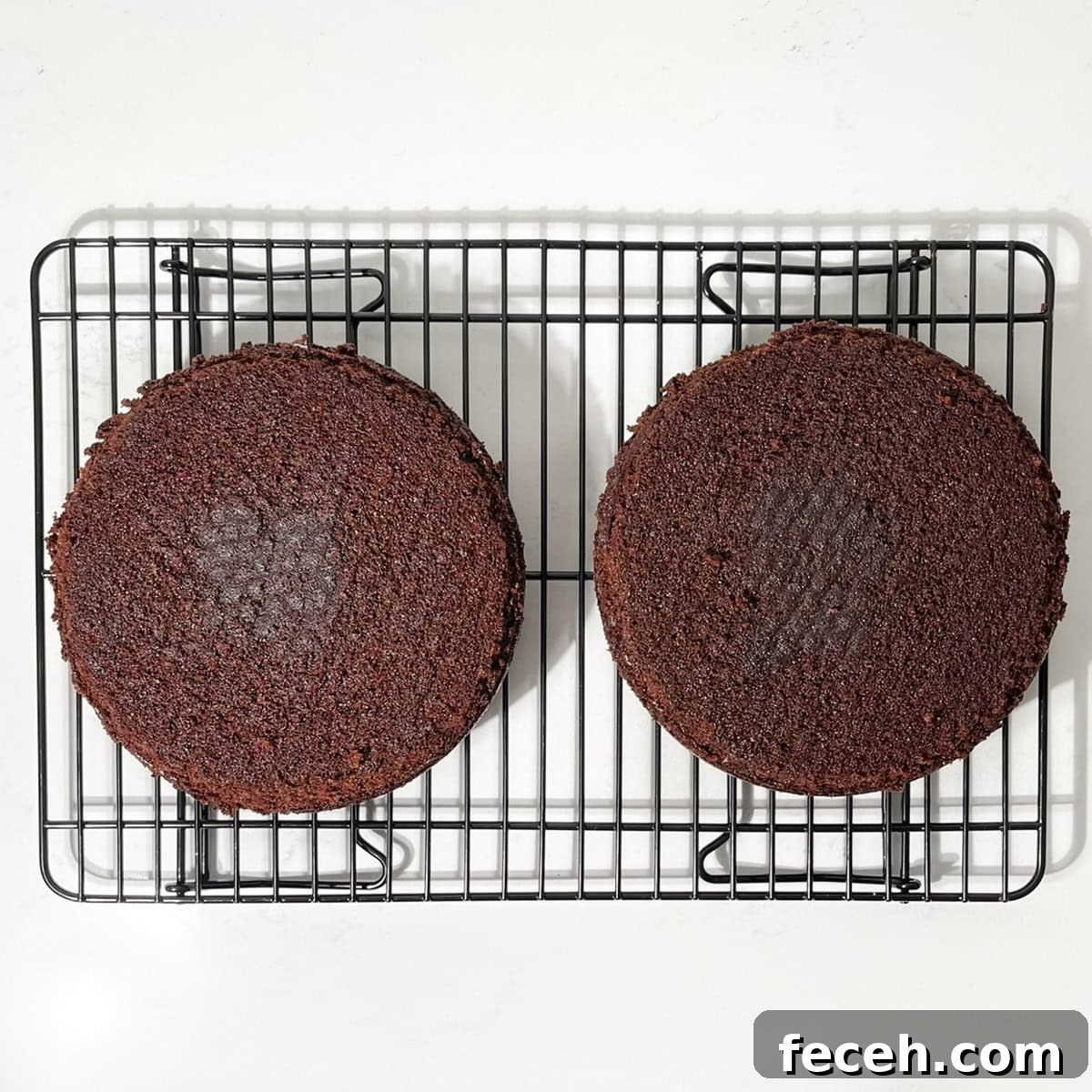 Two baked chocolate orange cakes in a wire rack.
