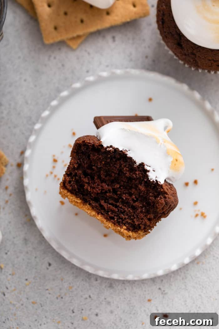 S'mores Cupcakes Recipe: Gooey Campfire Chocolate & Toasted Marshmallow 4 Halved s'mores cupcake laid on a white plate to show the graham cracker base, chocolate cake, and marshmallow frosting topping.