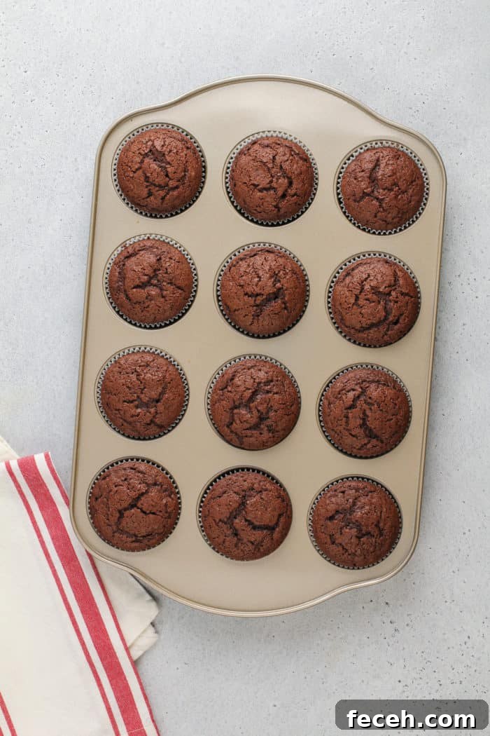 S'mores Cupcakes Recipe: Gooey Campfire Chocolate & Toasted Marshmallow 8 Baked chocolate cupcakes for s'mores cupcakes cooling in the cupcake pan.