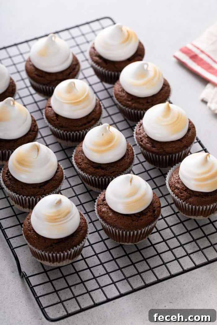 S'mores Cupcakes Recipe: Gooey Campfire Chocolate & Toasted Marshmallow 9 S'mores cupcakes topped with toasted marshmallow frosting lined up on a wire cooling rack.