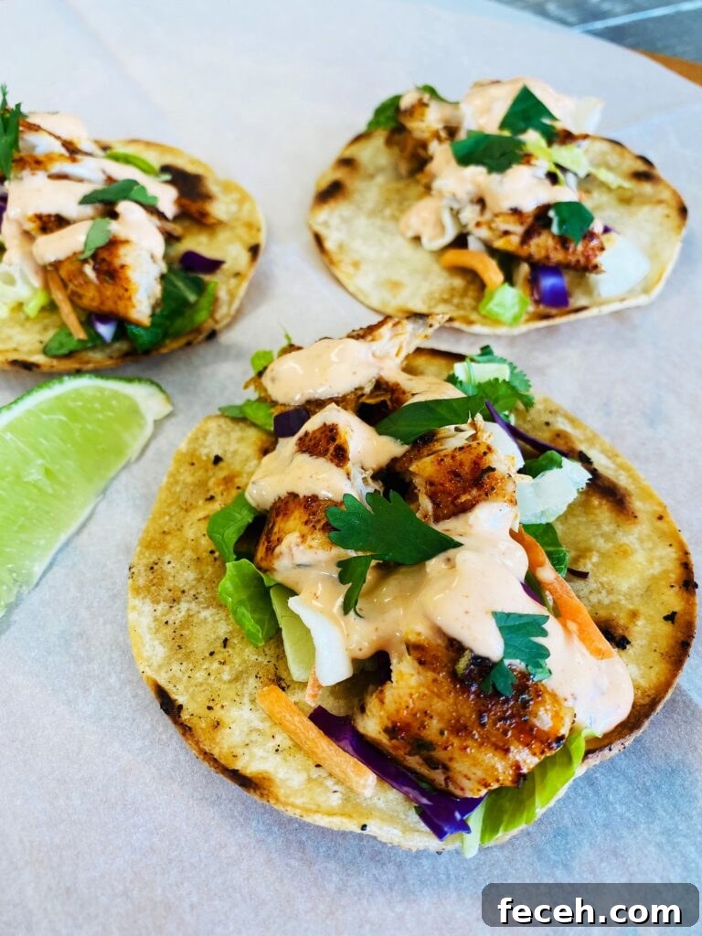 Hibachi-Style Shrimp Fried Rice Recipe for Flavorful Weeknights 14 Blackstone Mahi Mahi Tacos