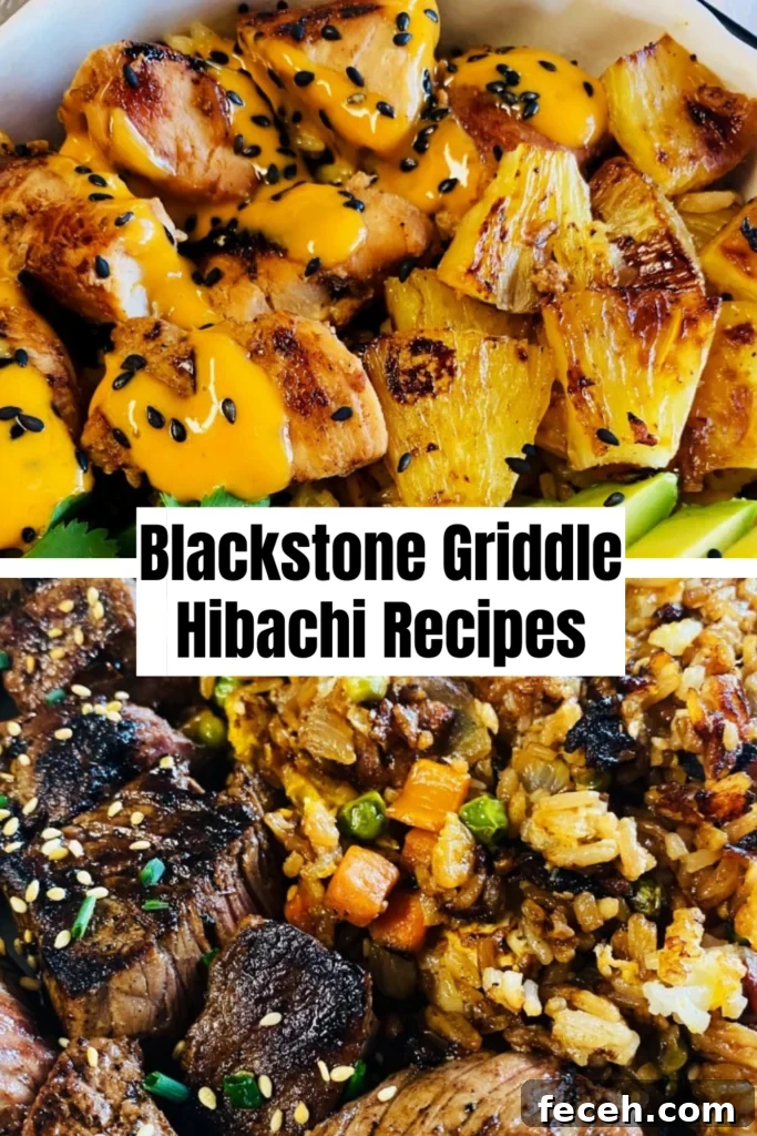 Hibachi-Style Shrimp Fried Rice Recipe for Flavorful Weeknights 18 Blackstone Griddle Hibachi Recipes