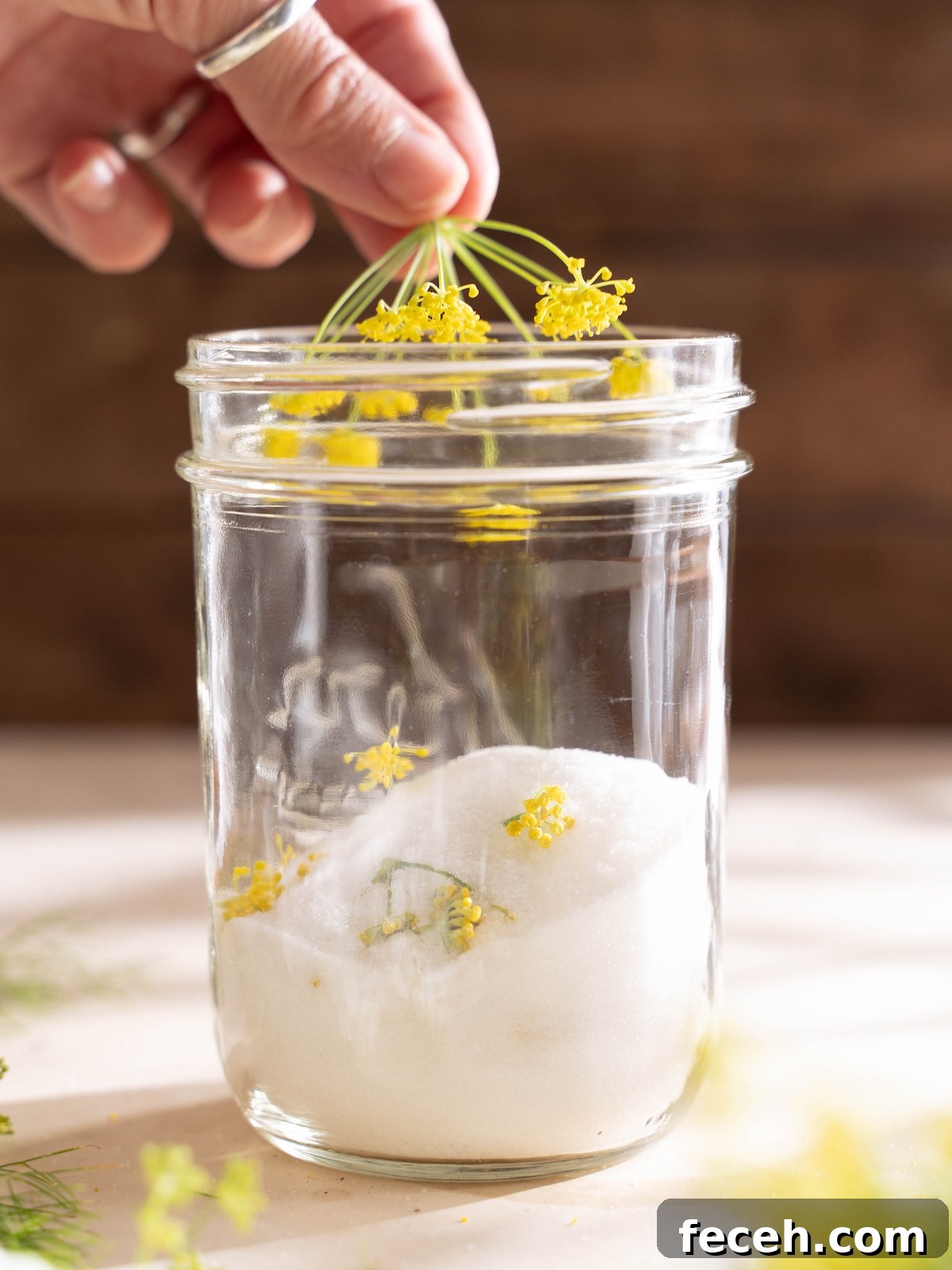 Placing fennel flowers in a jar of sugar