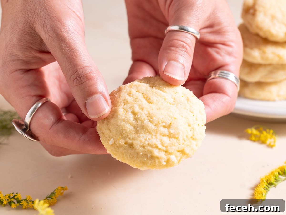 Hands holding a fennel pollen sugar cookie to show texture