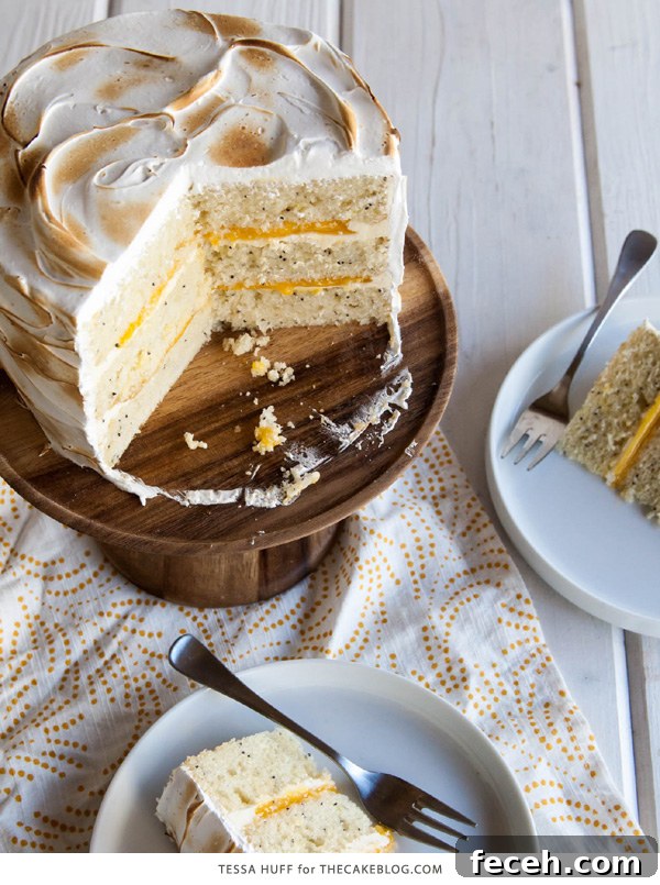 Decadent Lemon Meringue Cake Recipe with Zesty Citrus Layers 5 Lemon Meringue Cake | with lemon curd and toasted meringue frosting | by Tessa Huff for TheCakeBlog.com