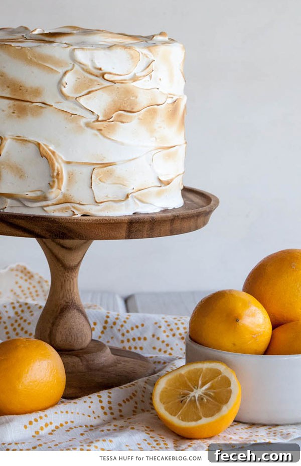 Decadent Lemon Meringue Cake Recipe with Zesty Citrus Layers 7 Lemon Meringue Cake | with lemon curd and toasted meringue frosting | by Tessa Huff for TheCakeBlog.com