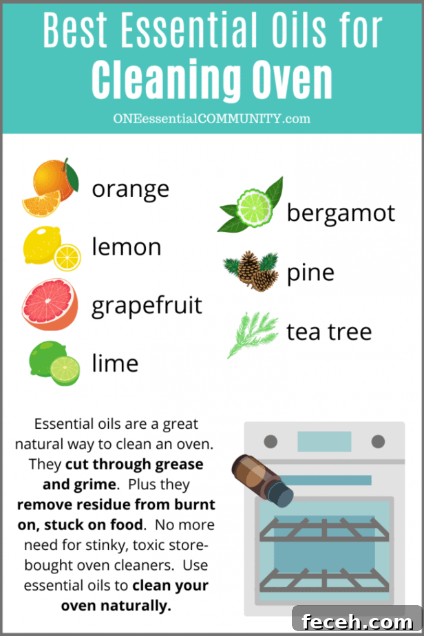 best essential oils for cleaning oven -- orange, lemon, grapefruit, lime, bergamot, pine, and tea tree. Essential oils are great natural wat to clean an oven. They cut through grease and grime. plus they remove residue from burnt on, stuck on food. No more need for stinky, toxic store-bought oven cleaners. Use essential oils to clean your oven naturally.