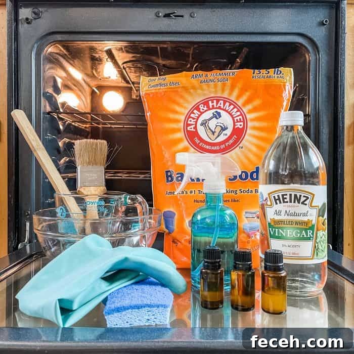 supplies used to clean oven - baking soda, vinegar, essential oil, spray bottle, sponge, cleaning glove, paintbrush
