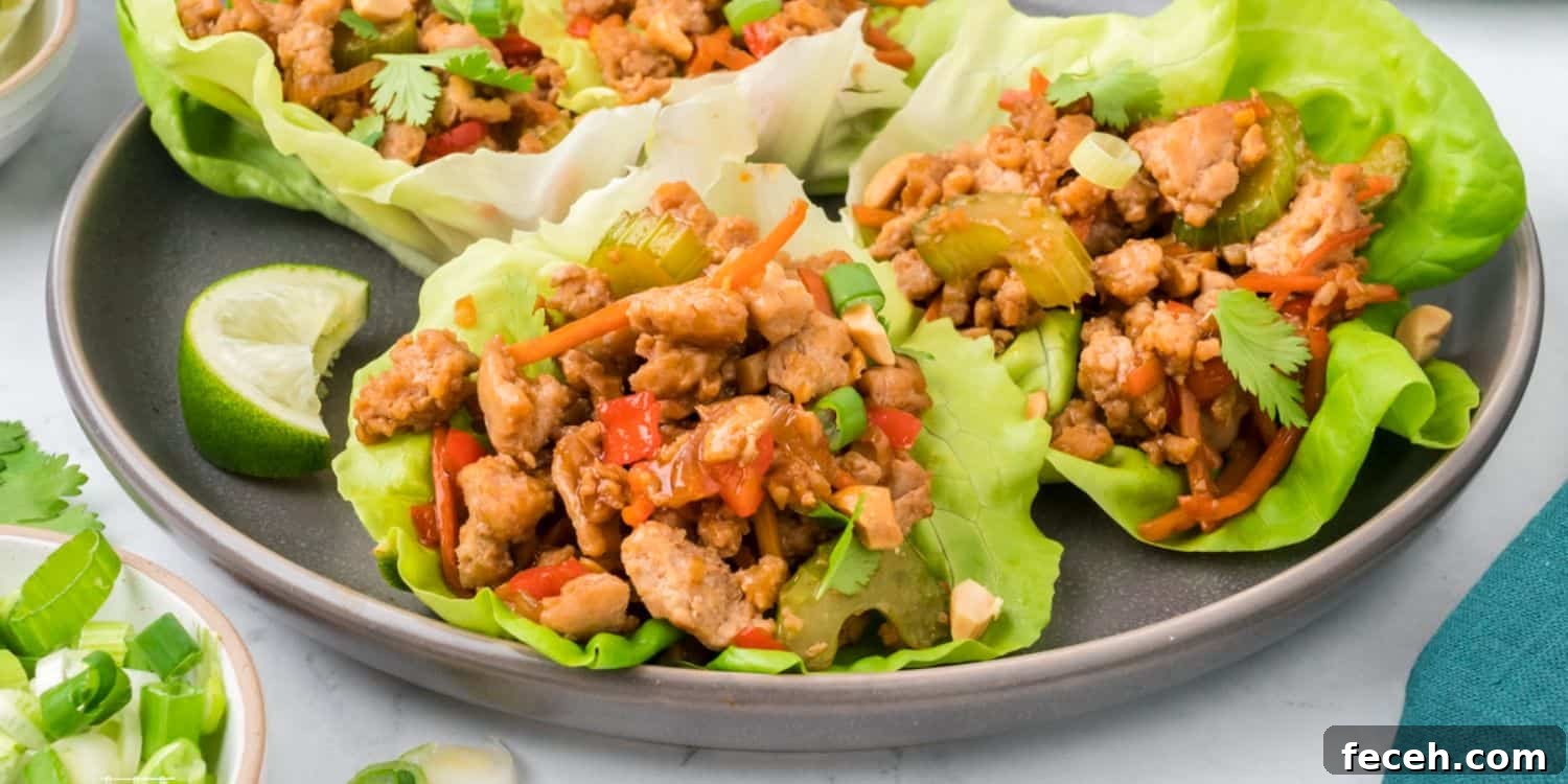 Asian Ground Chicken Lettuce Wraps