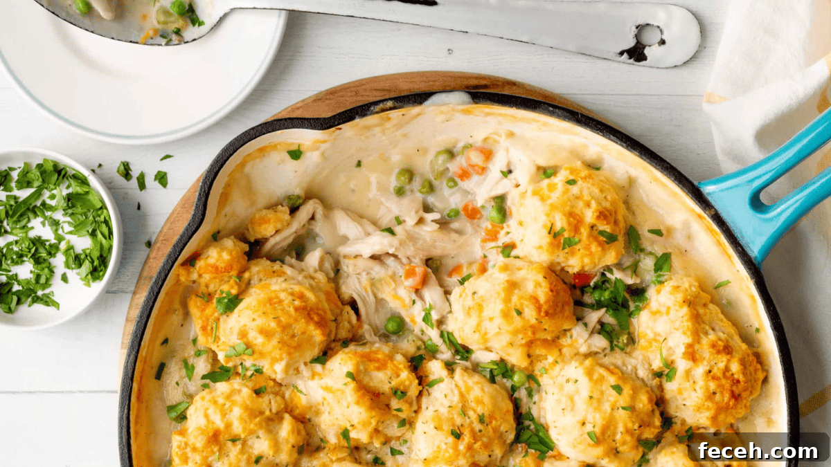 Chicken Cobbler with Cheddar Biscuit Topping