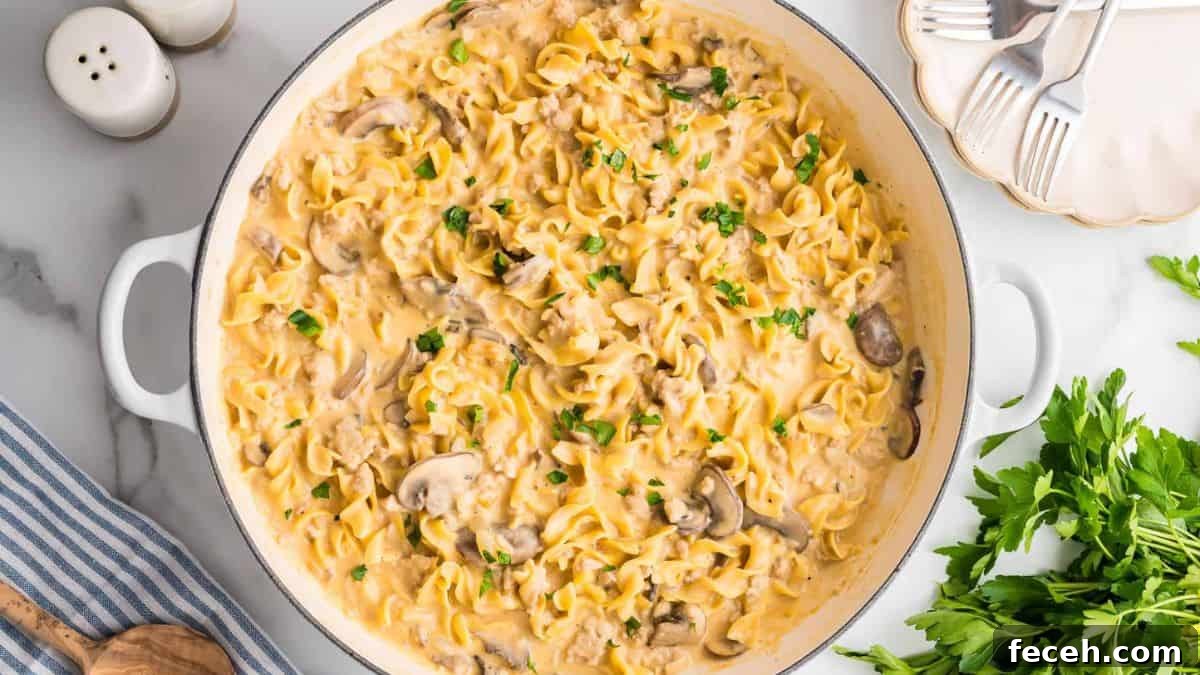 Ground Chicken Stroganoff