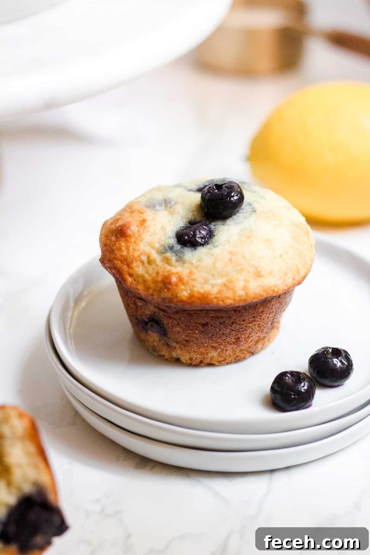 Healthy Lemon Blueberry Yogurt Muffins Healthy Breakfast Muffin with Blueberries and Lemon for Food Blog