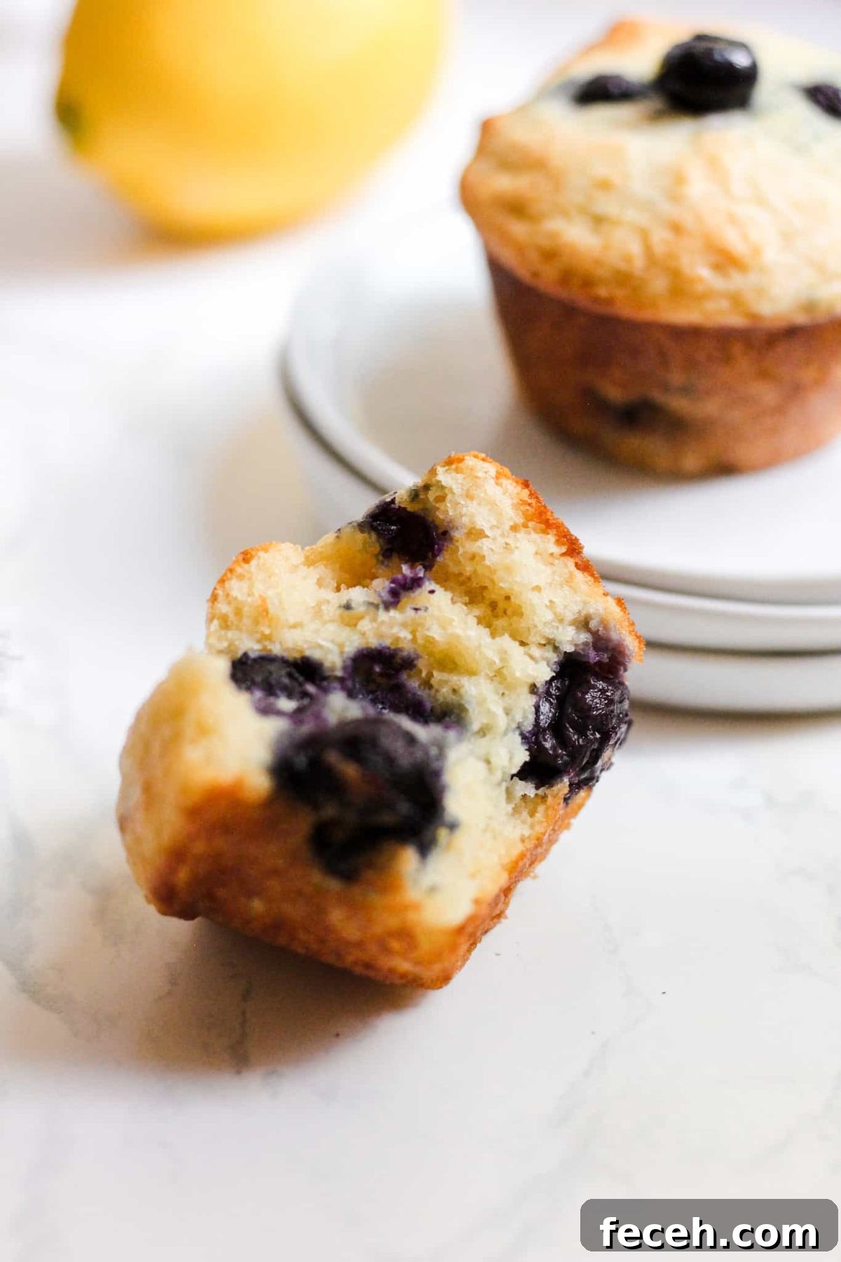 Healthy Lemon Blueberry Muffins Healthy Breakfast Muffin with Blueberries and Lemon for Food Blog