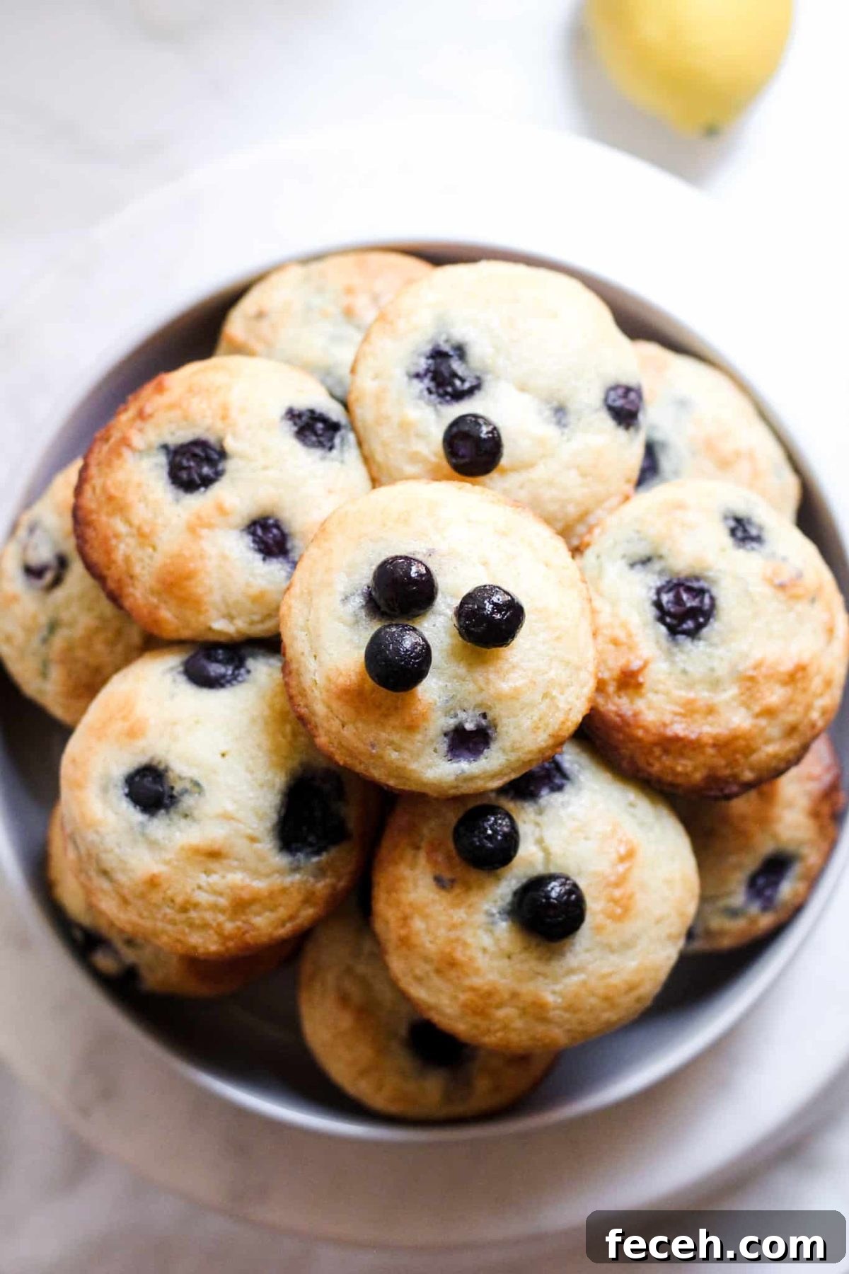 Healthier Lemon Blueberry Greek Yogurt Muffins Bowl of Healthy Breakfast Muffins with Blueberries and Lemon for Food Blog