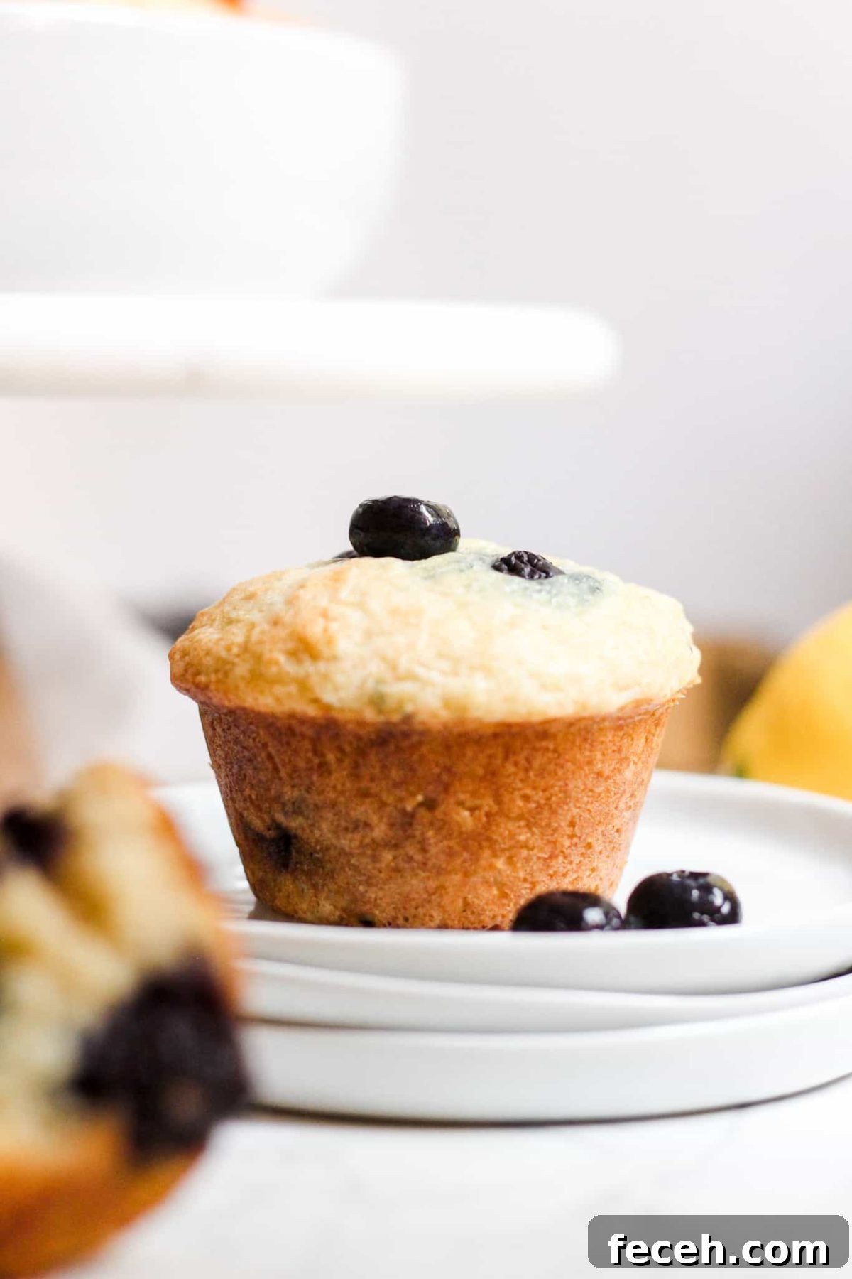 Lemon Blueberry Yogurt Muffins Healthy Breakfast Muffin with Blueberries and Lemon for Food Blog