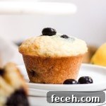 Lemon Blueberry Greek Yogurt Muffins with Moist, Zesty Flavor 2 A lemon blueberry muffin on a white plate with fresh blueberries.