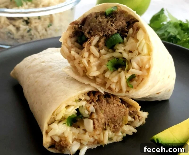korean burrito with shredded pork