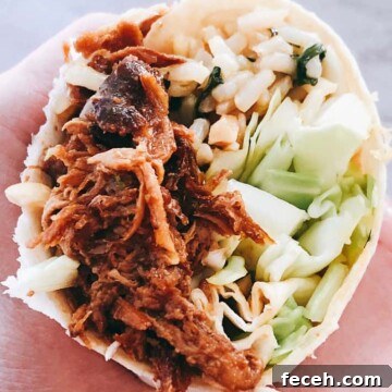 korean burrito