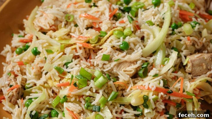 Close up of a plate of Indo-Chinese Chicken Fried Rice.