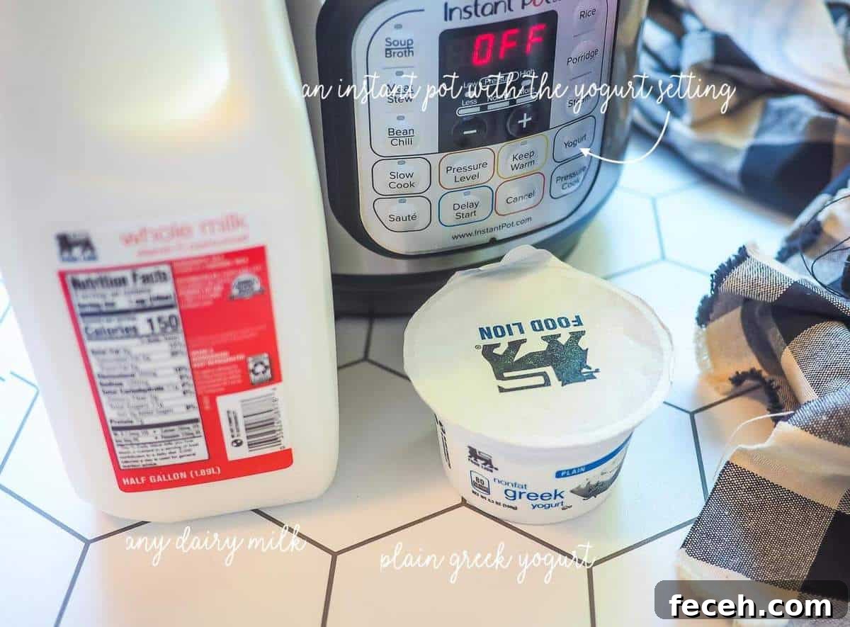 A half-gallon of milk, an instant pot, and a small container of greek yogurt.