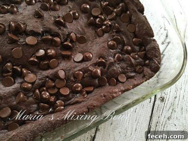 Death by Chocolate Dump Cake