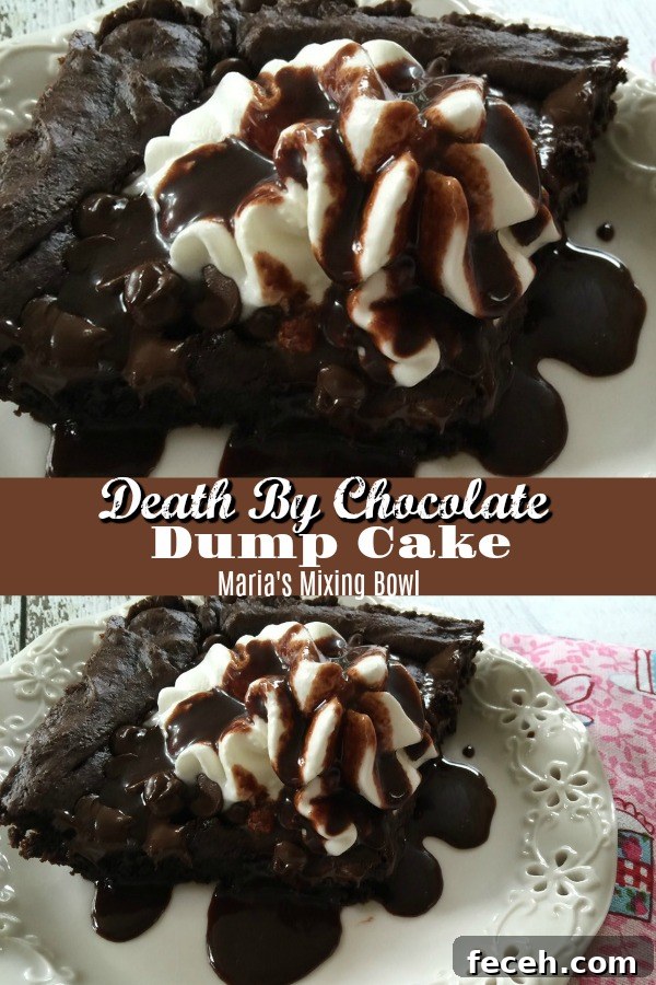 Death by Chocolate Dump Cake whole