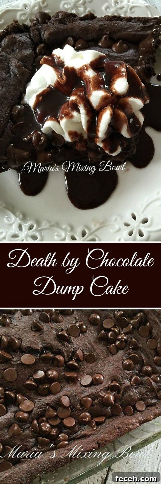 Close up chocolate cake