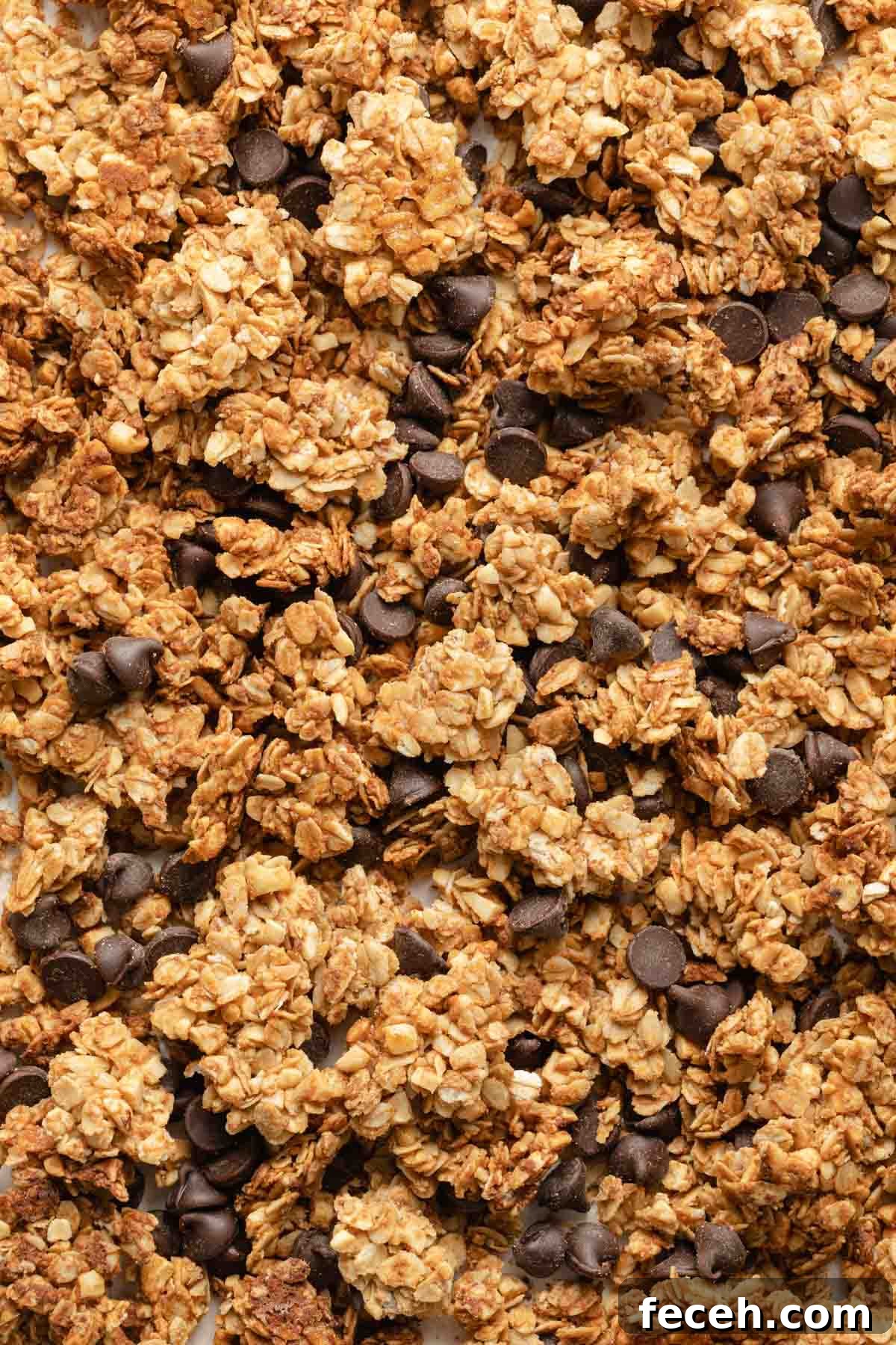 Close up view of granola clusters with chocolate chips mixed in.