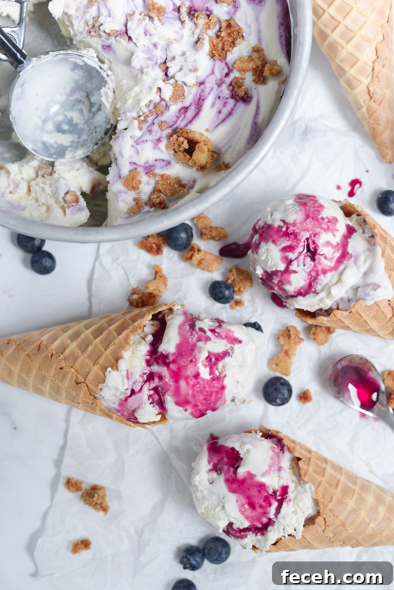 Blueberry cheesecake no-churn ice cream ready to serve